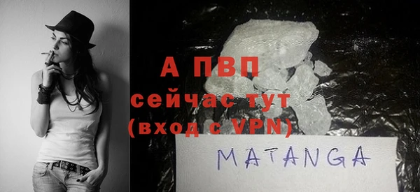 шишки Горно-Алтайск
