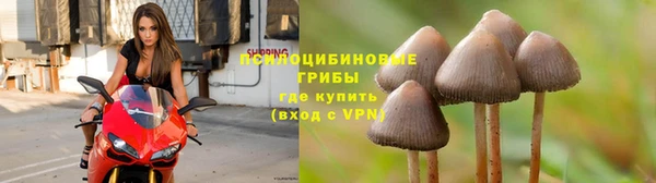 ECSTASY Великий Новгород