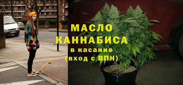 шишки Горно-Алтайск