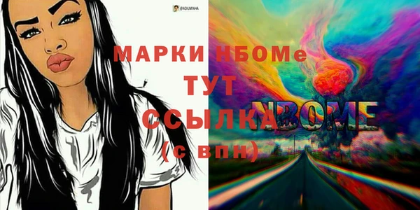 шишки Горно-Алтайск