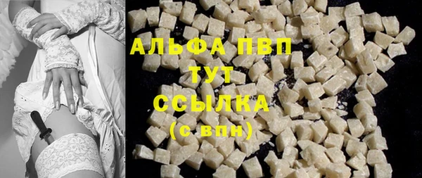 гидра Гусиноозёрск