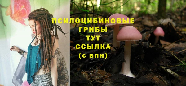 эйфоретик Горнозаводск