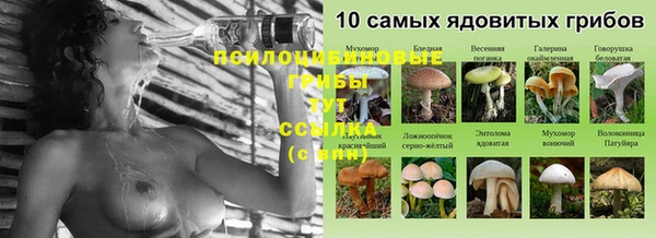шишки Горно-Алтайск
