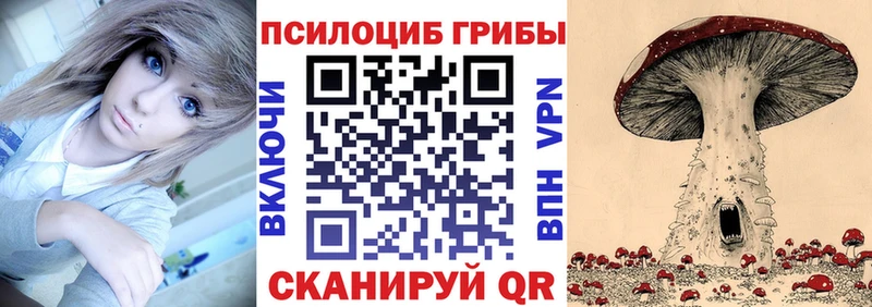 darknet Telegram  Зарайск  Псилоцибиновые грибы GOLDEN TEACHER 